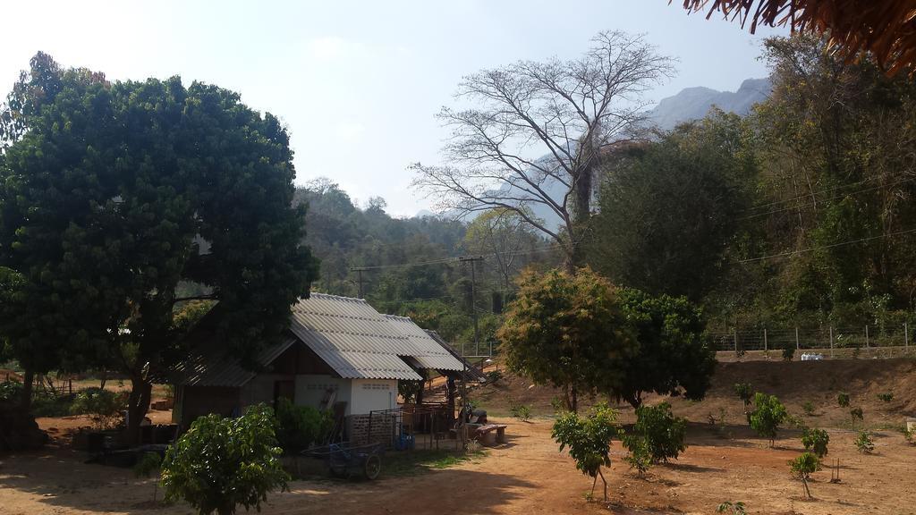 Doo-Dao-Doi Farm & Stay Чианг Дао Екстериор снимка