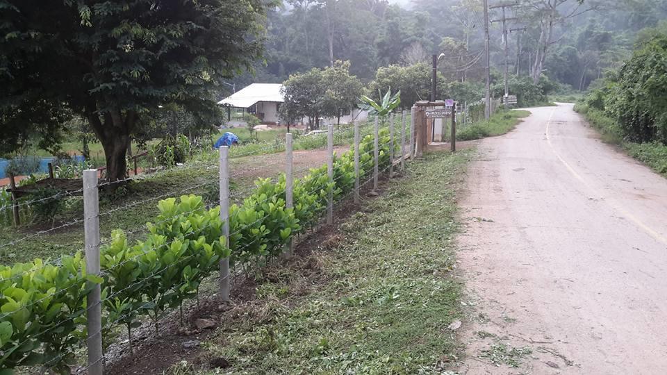 Doo-Dao-Doi Farm & Stay Чианг Дао Екстериор снимка